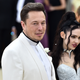 Illustration for article titled Love’em/ems not dead: Elon Musk and Grimes visited a pumpkin patch over the weekend